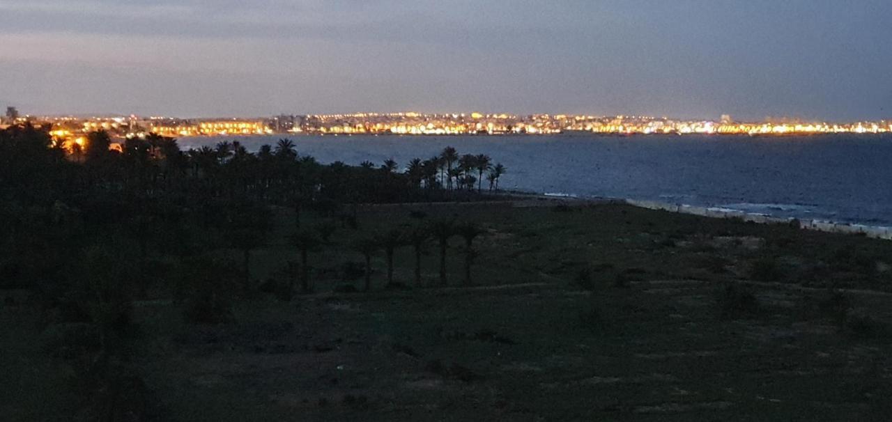 Apartamento Pleamar Punta Prima Torrevieja Exterior foto